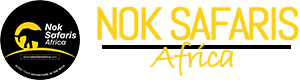 Nok Africa Wonders