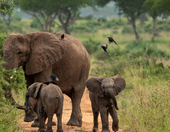 Adventure Beyond Safari – East Africa’s Hidden Treasures