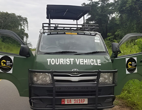 Safari Minibus (Group Travel Van)