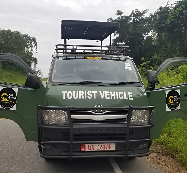 Safari Minibus (Group Travel Van)