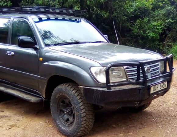 Self-Drive Safari Van