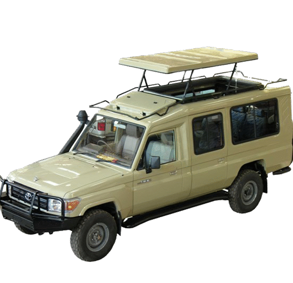 Safari Van (Standard 4x4)